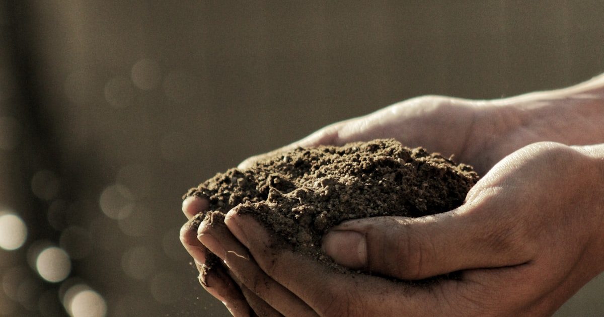 Resilience Through Mindfulness